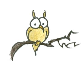 cartoon owl