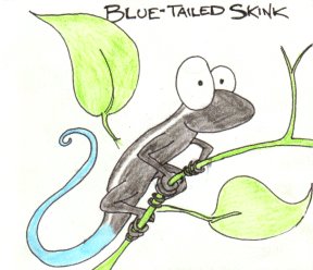 cartoon blue tailed skink