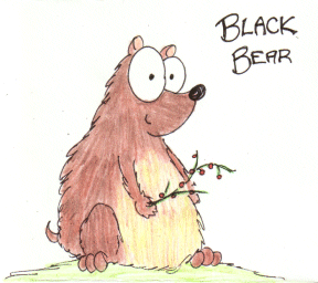 cartoon black bear