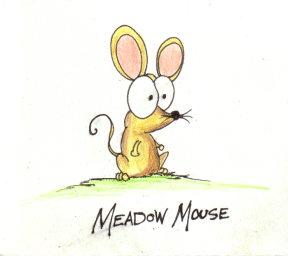 meadow mouse