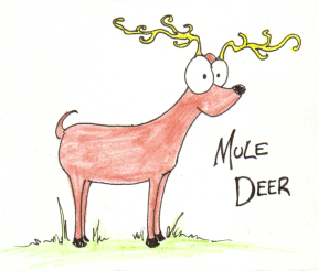 cartoon mule deer