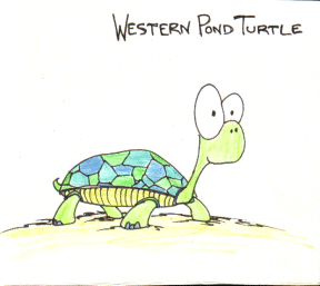 cartoon turtle